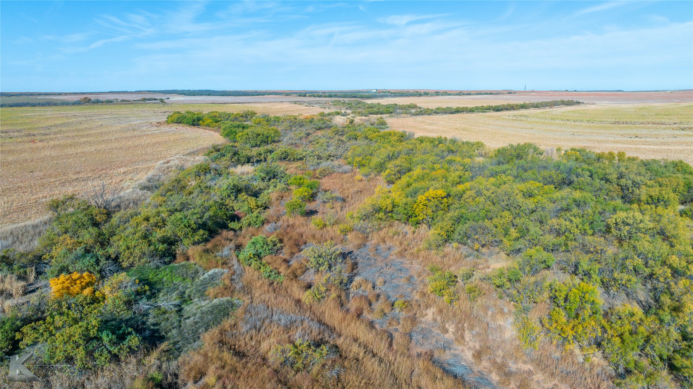 Tbd Fm 57, 160 Acres Roby TX 79543
