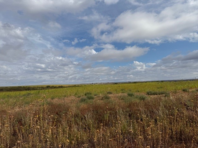 Tbd Fm 57, 160 Acres Roby TX 79543