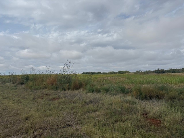 Tbd Fm 57, 160 Acres Roby TX 79543