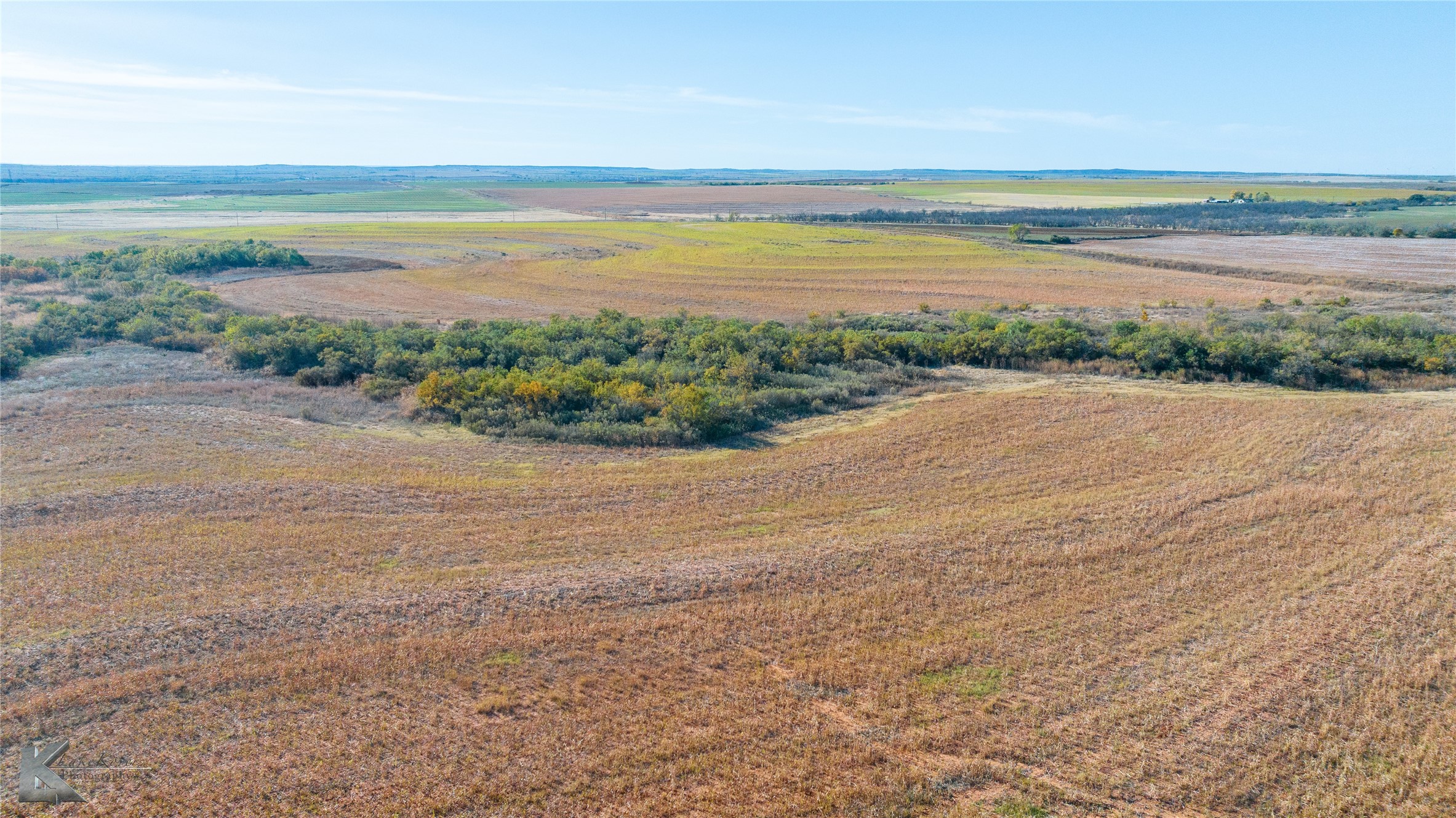 Tbd Fm 57, 160 Acres Roby TX 79543