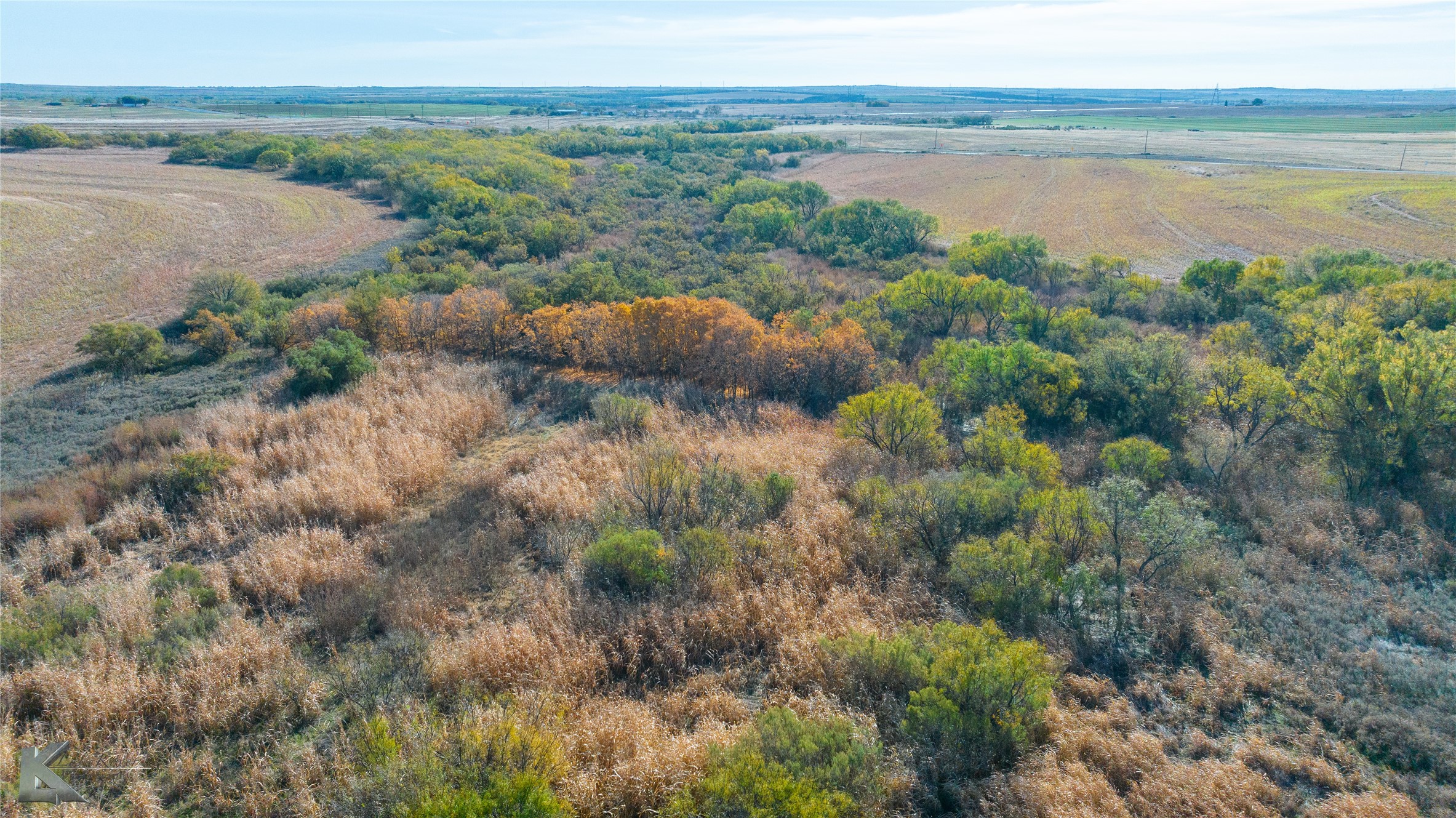 Tbd Fm 57, 160 Acres Roby TX 79543