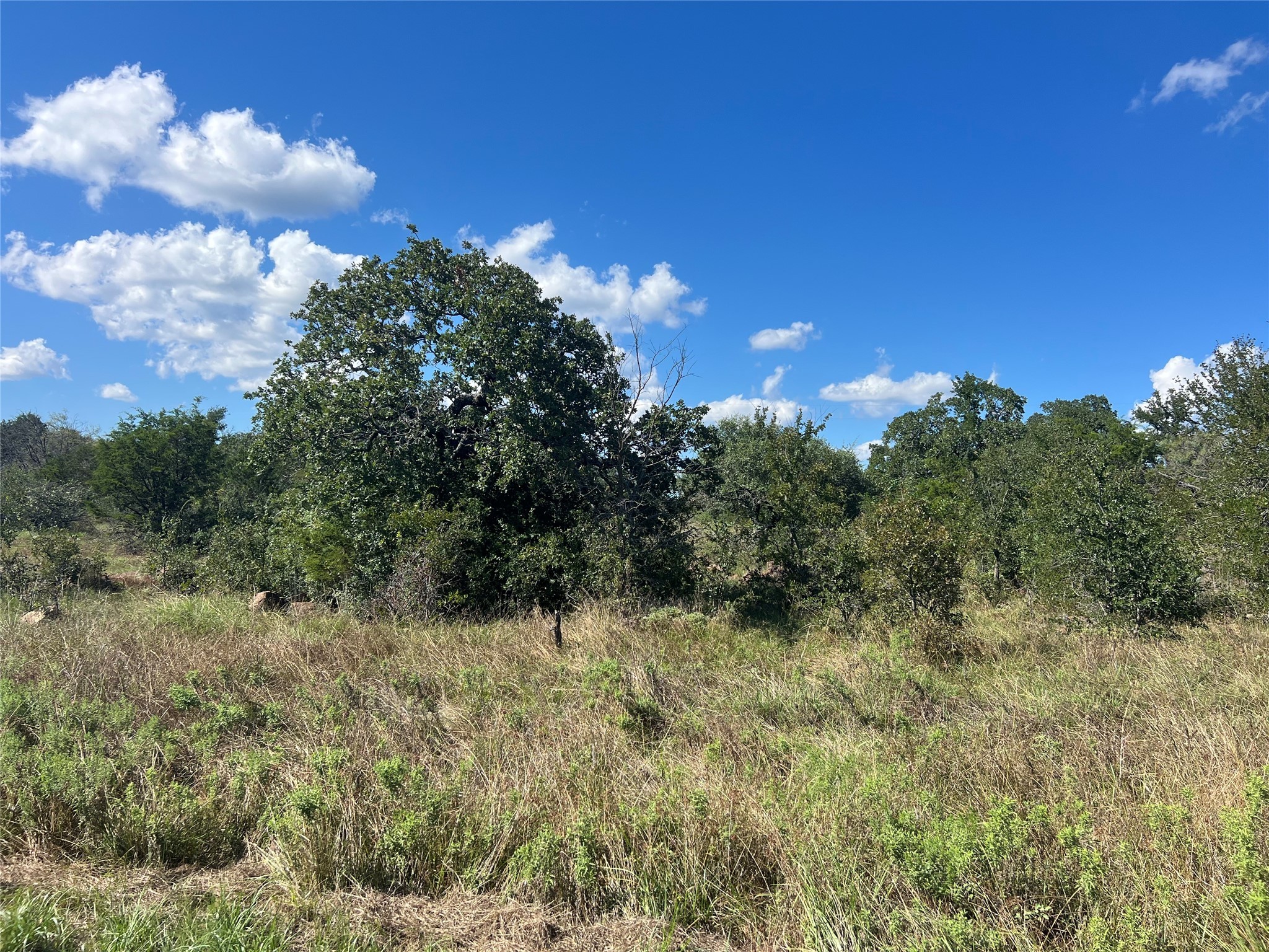 2266 Stagecoach Trail Gordon TX 76453