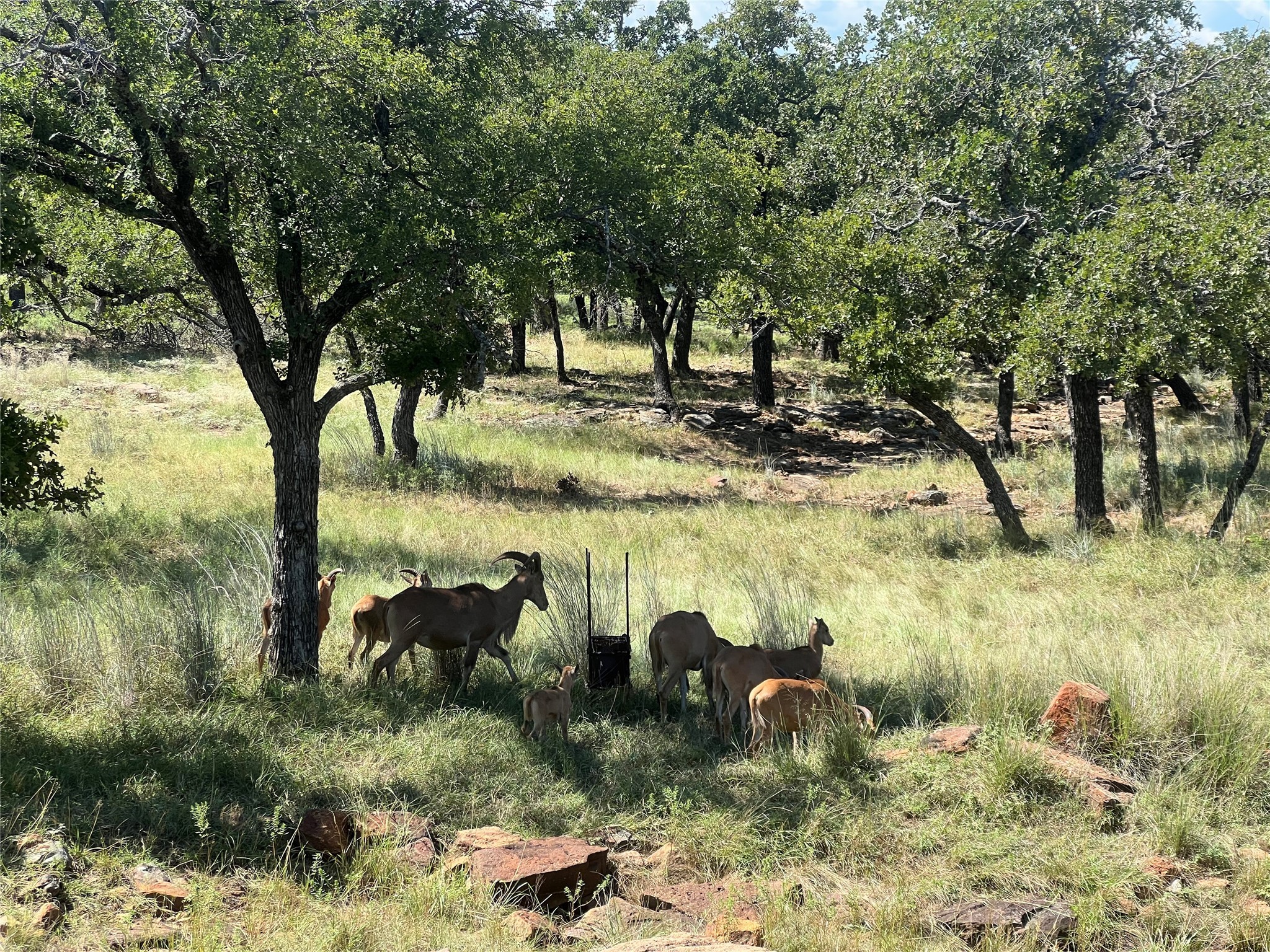 2266 Stagecoach Trail Gordon TX 76453