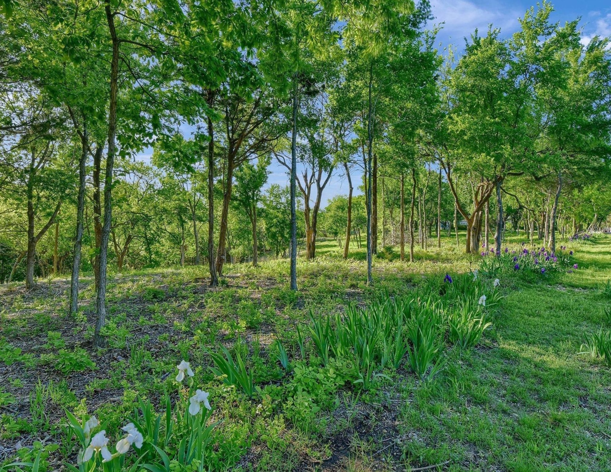 5.63 Acres Thompson Heights Denison TX 75020