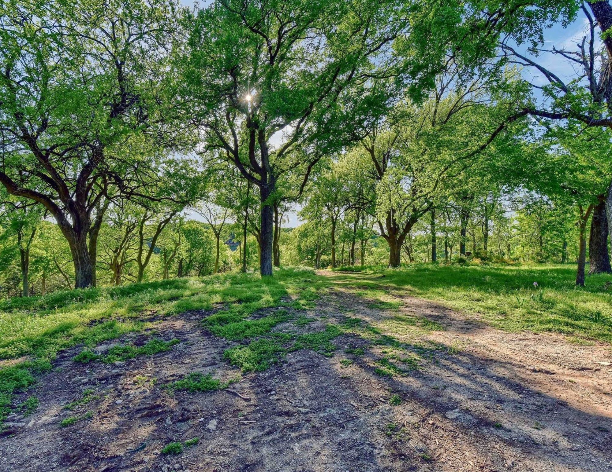 5.63 Acres Thompson Heights Denison TX 75020