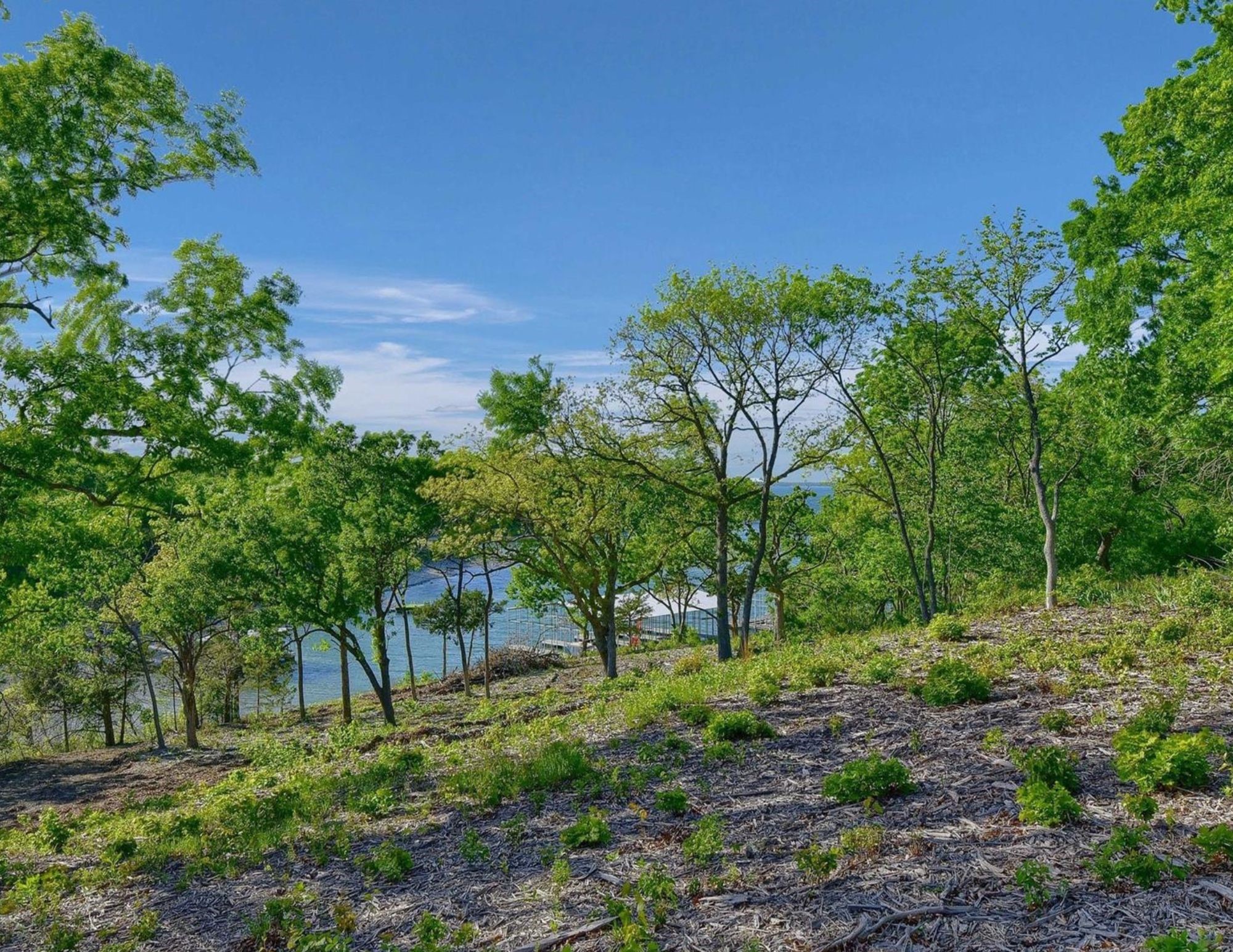 5.63 Acres Thompson Heights Denison TX 75020