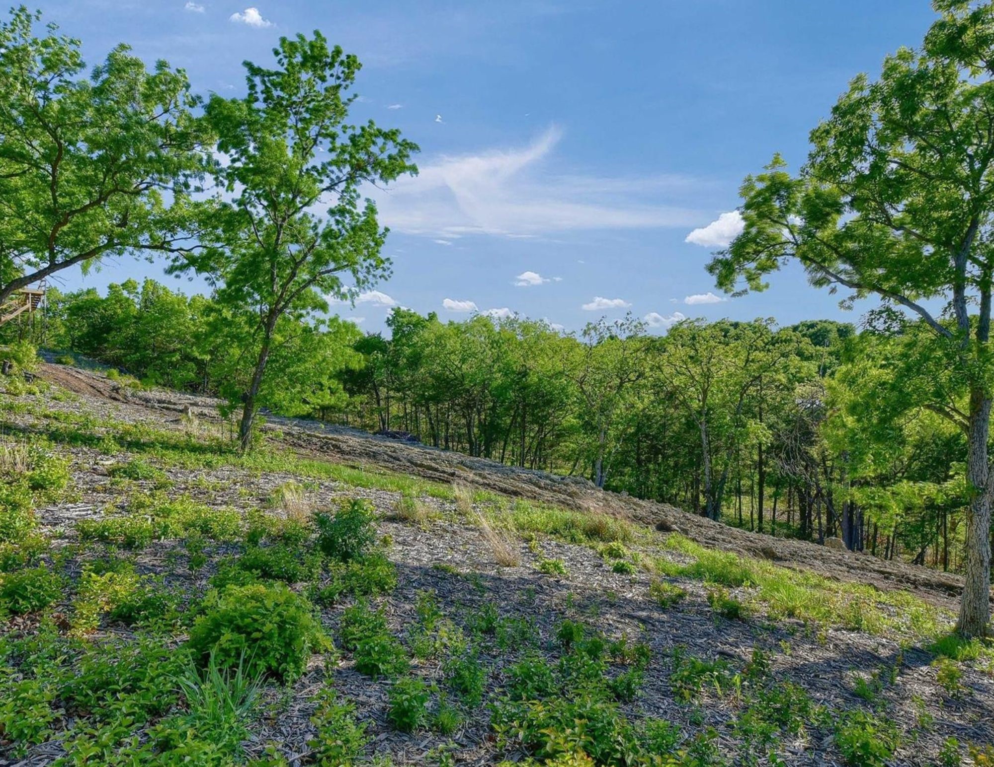 5.63 Acres Thompson Heights Denison TX 75020