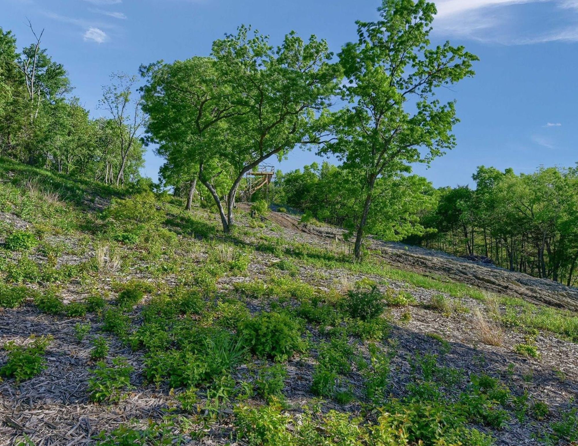 5.63 Acres Thompson Heights Denison TX 75020