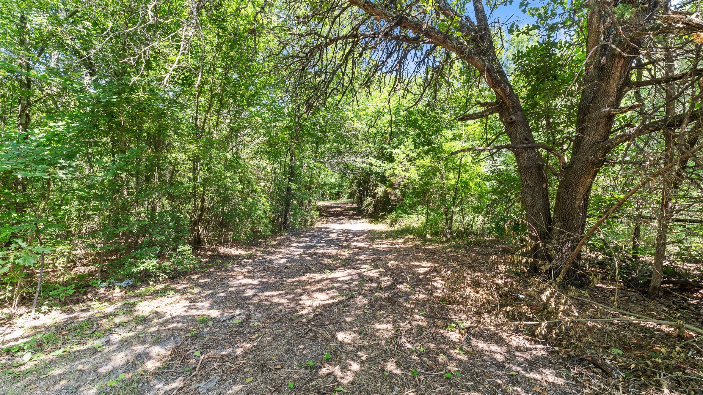 289 County Road 4586 Sulphur Springs TX 75482