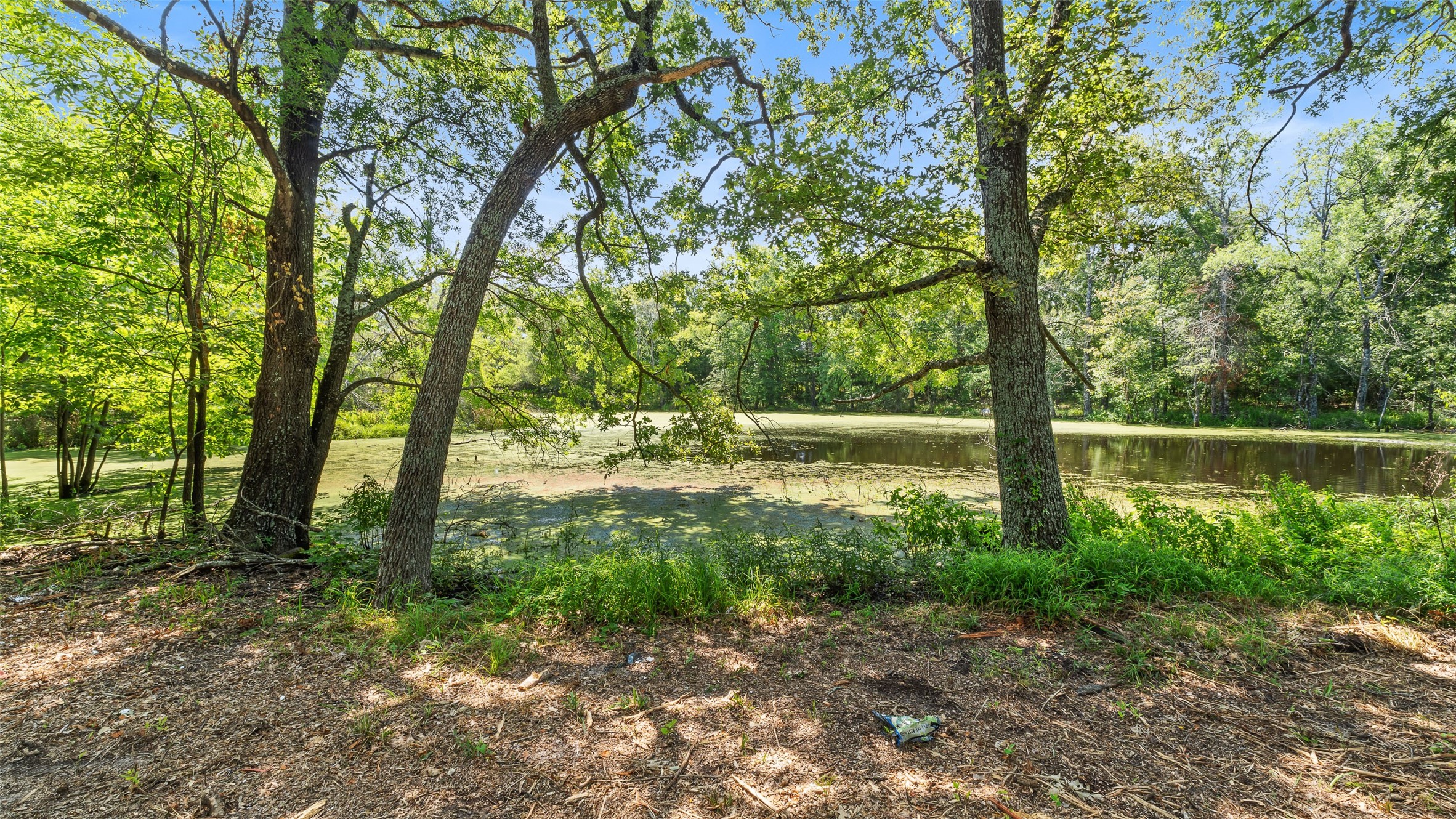 289 County Road 4586 Sulphur Springs TX 75482