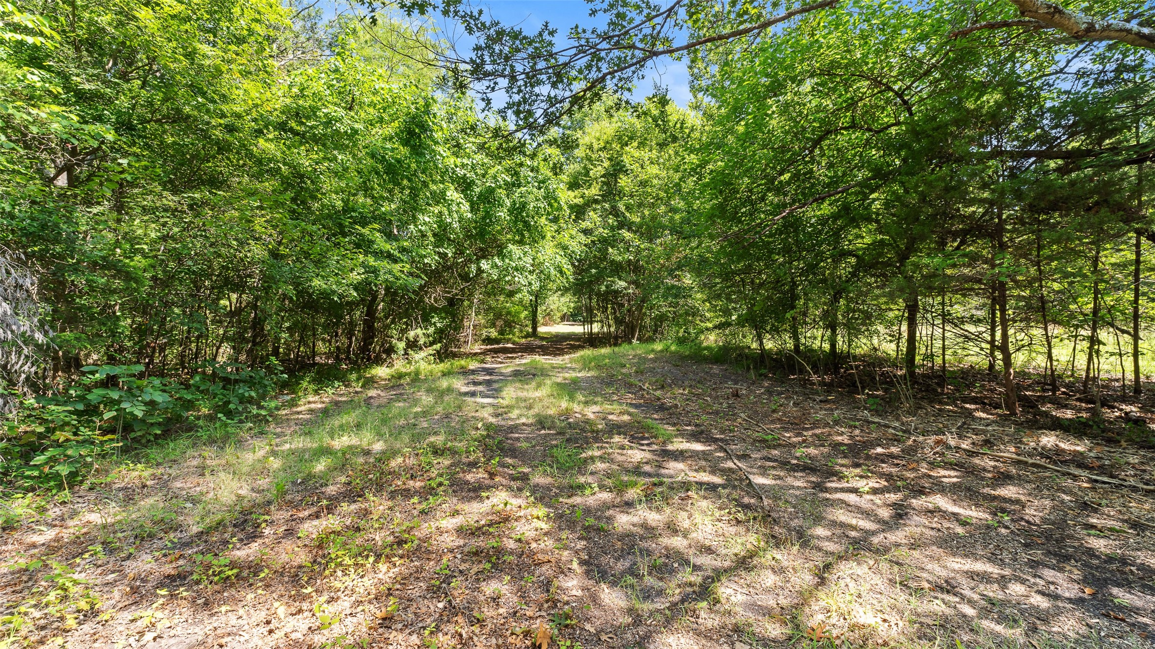 289 County Road 4586 Sulphur Springs TX 75482
