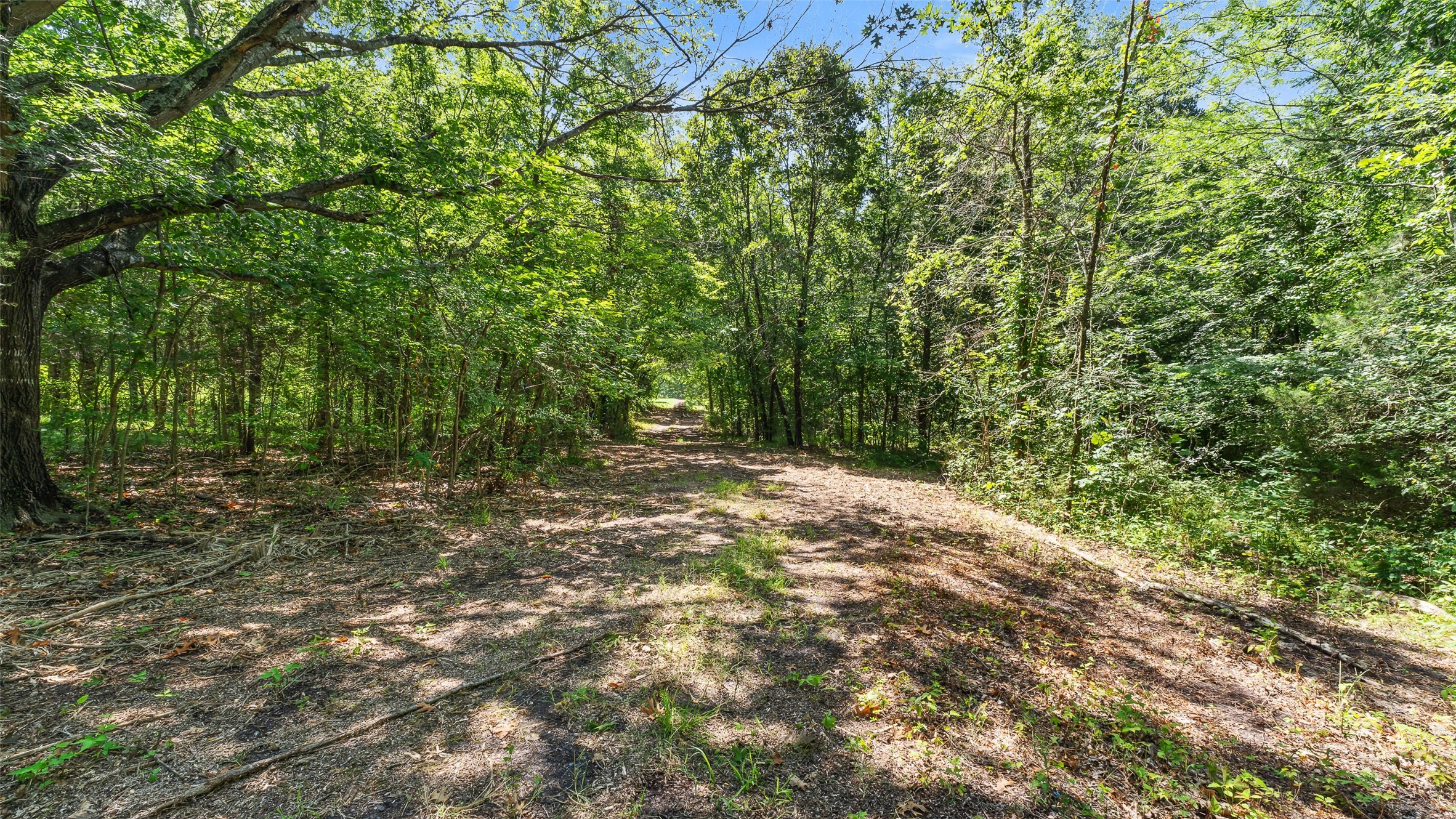289 County Road 4586 Sulphur Springs TX 75482