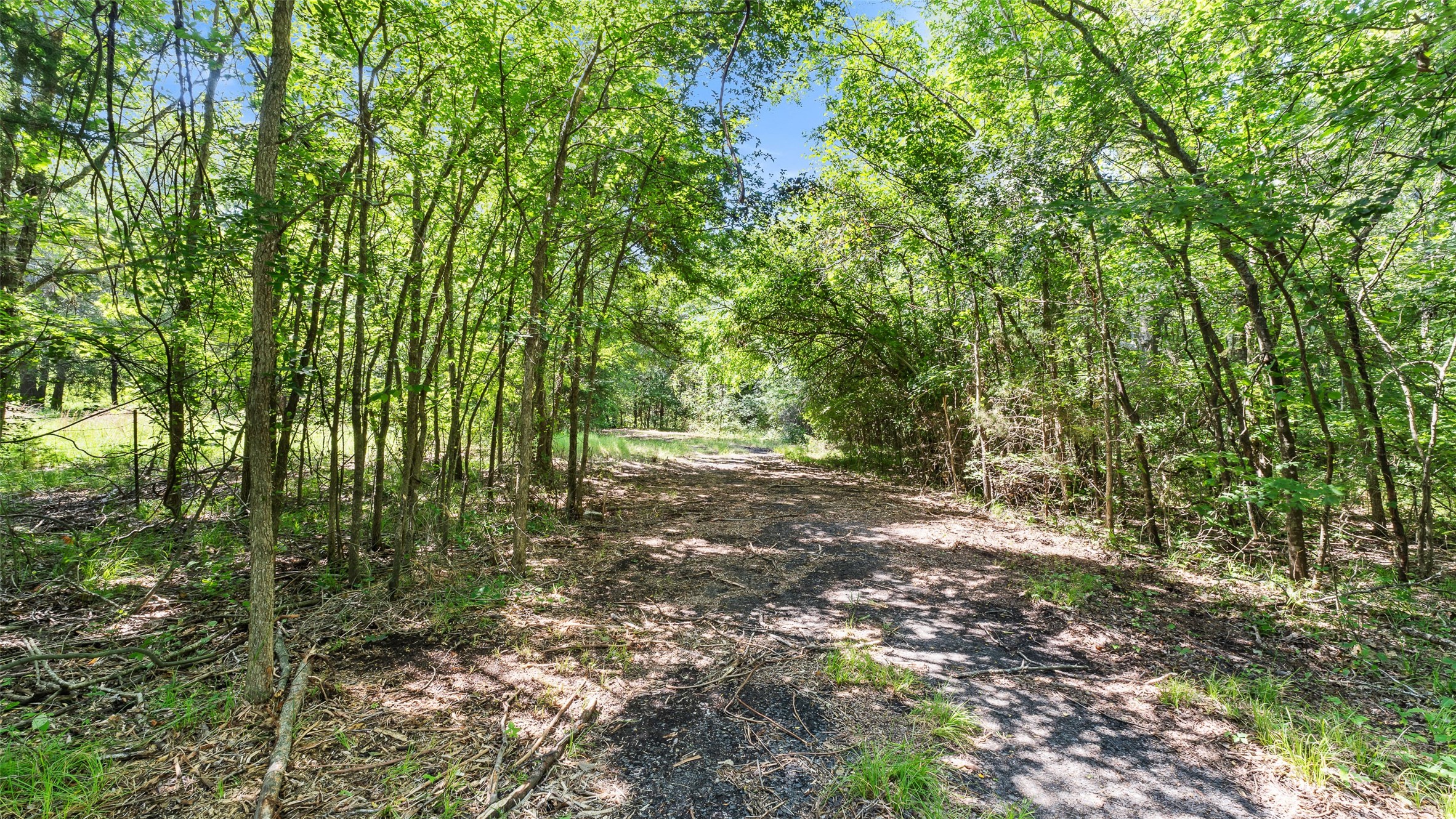 289 County Road 4586 Sulphur Springs TX 75482