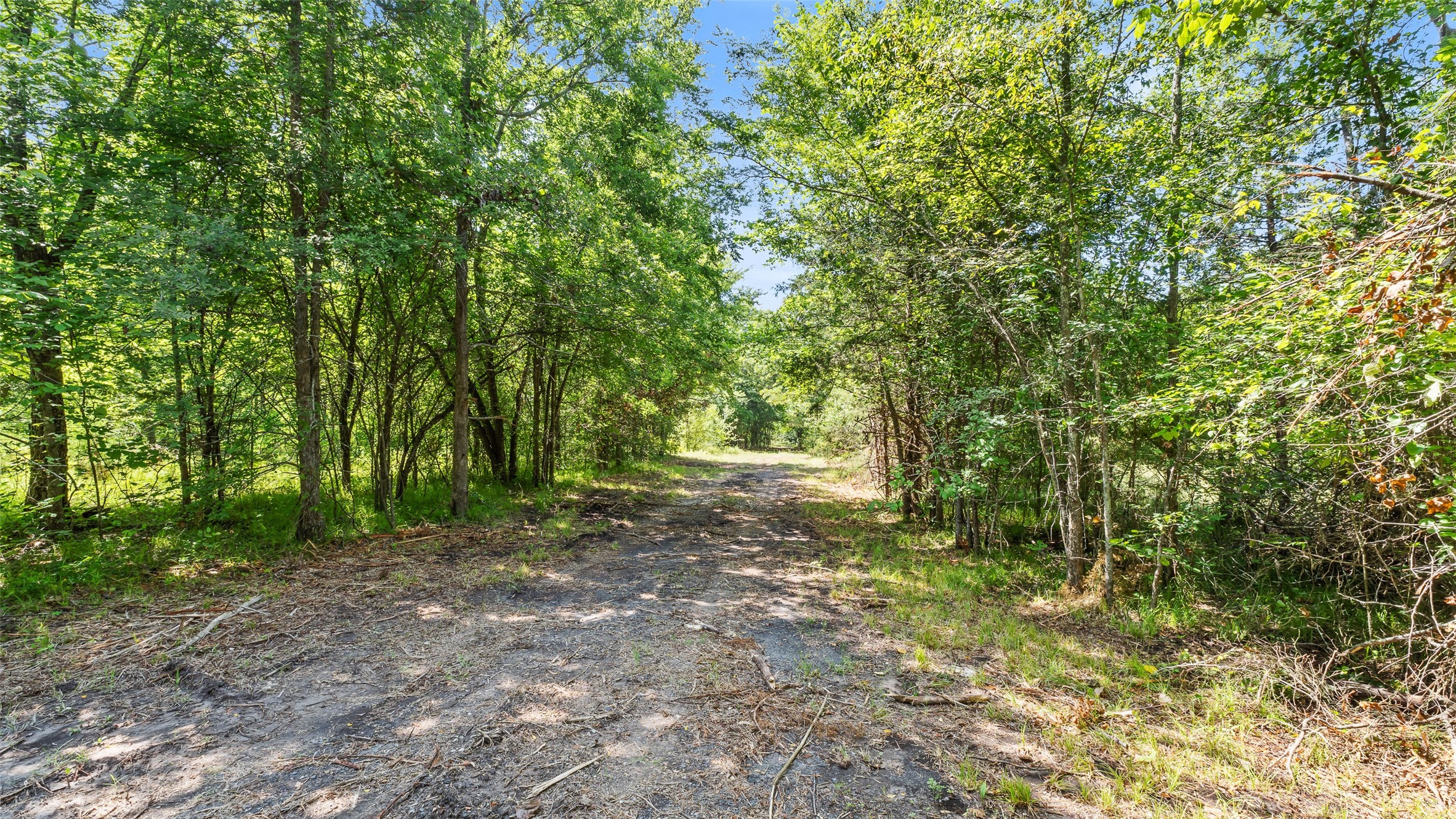 289 County Road 4586 Sulphur Springs TX 75482
