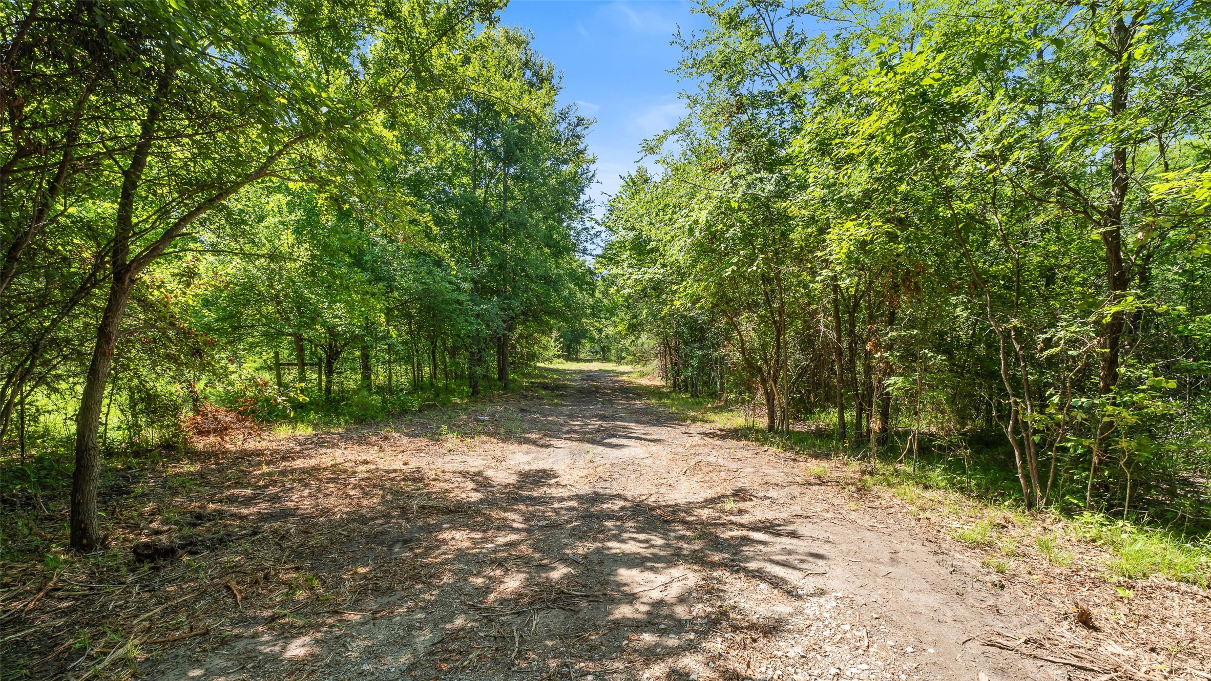 289 County Road 4586 Sulphur Springs TX 75482