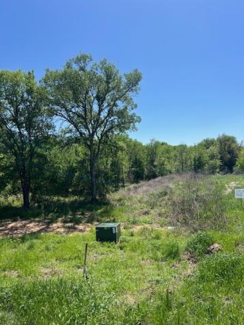 1004 Bermes Court Brock TX 76087