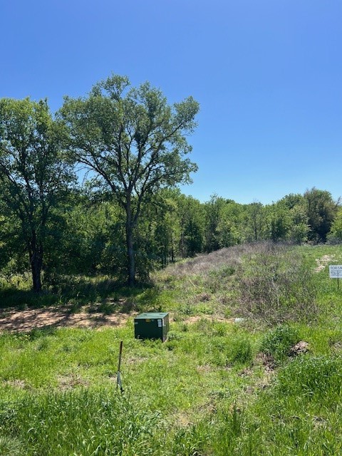 1004 Bermes Court Brock TX 76087