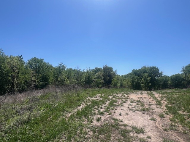 1004 Bermes Court Brock TX 76087