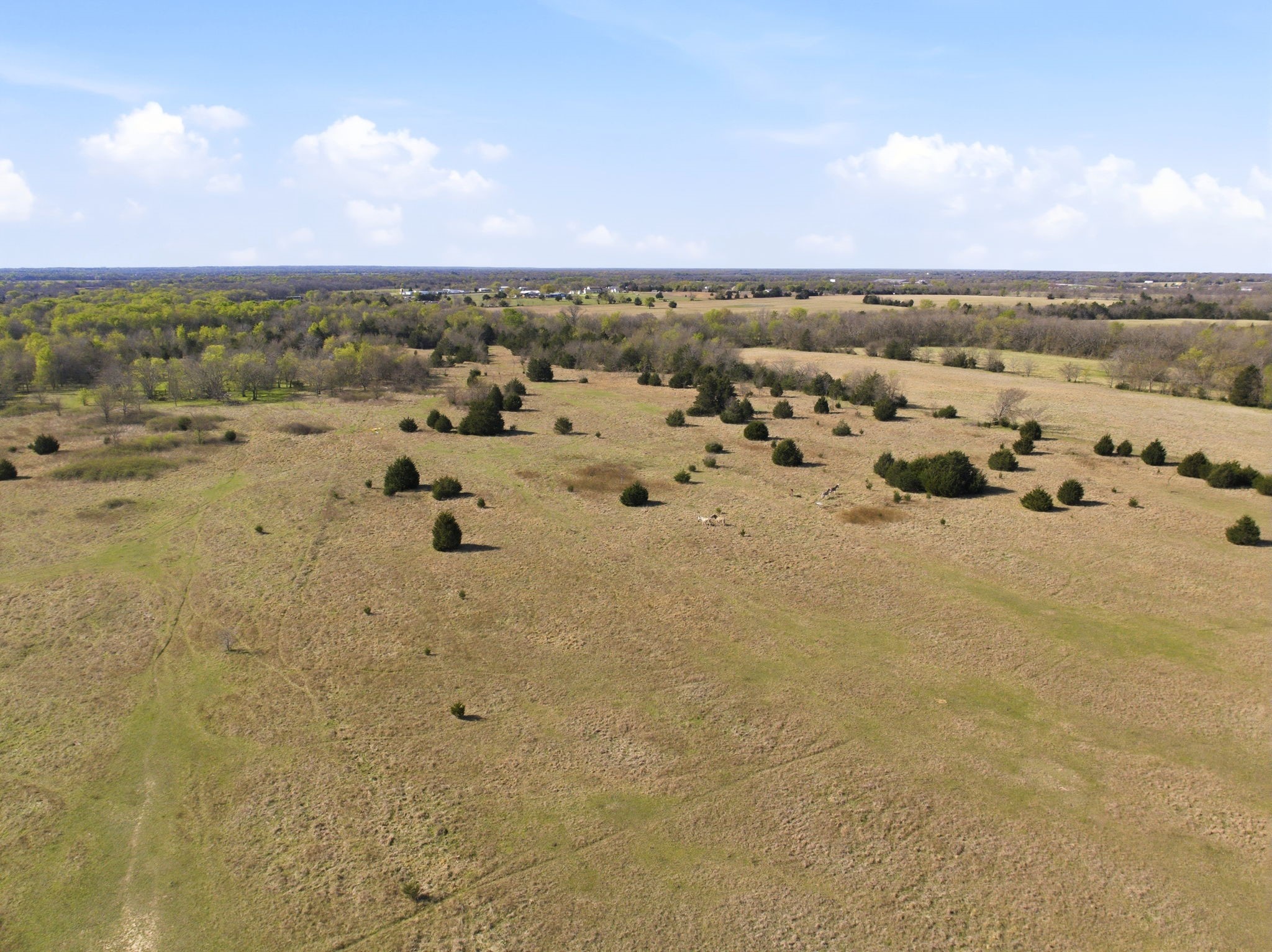 2004 E Main Street Campbell TX 75422