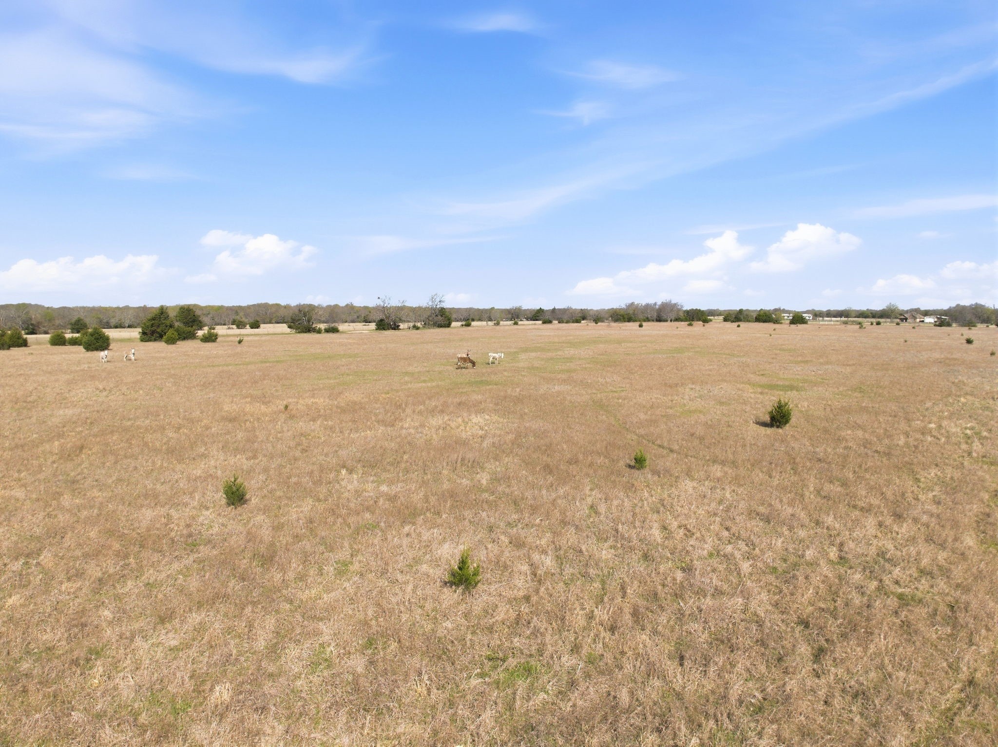2004 E Main Street Campbell TX 75422