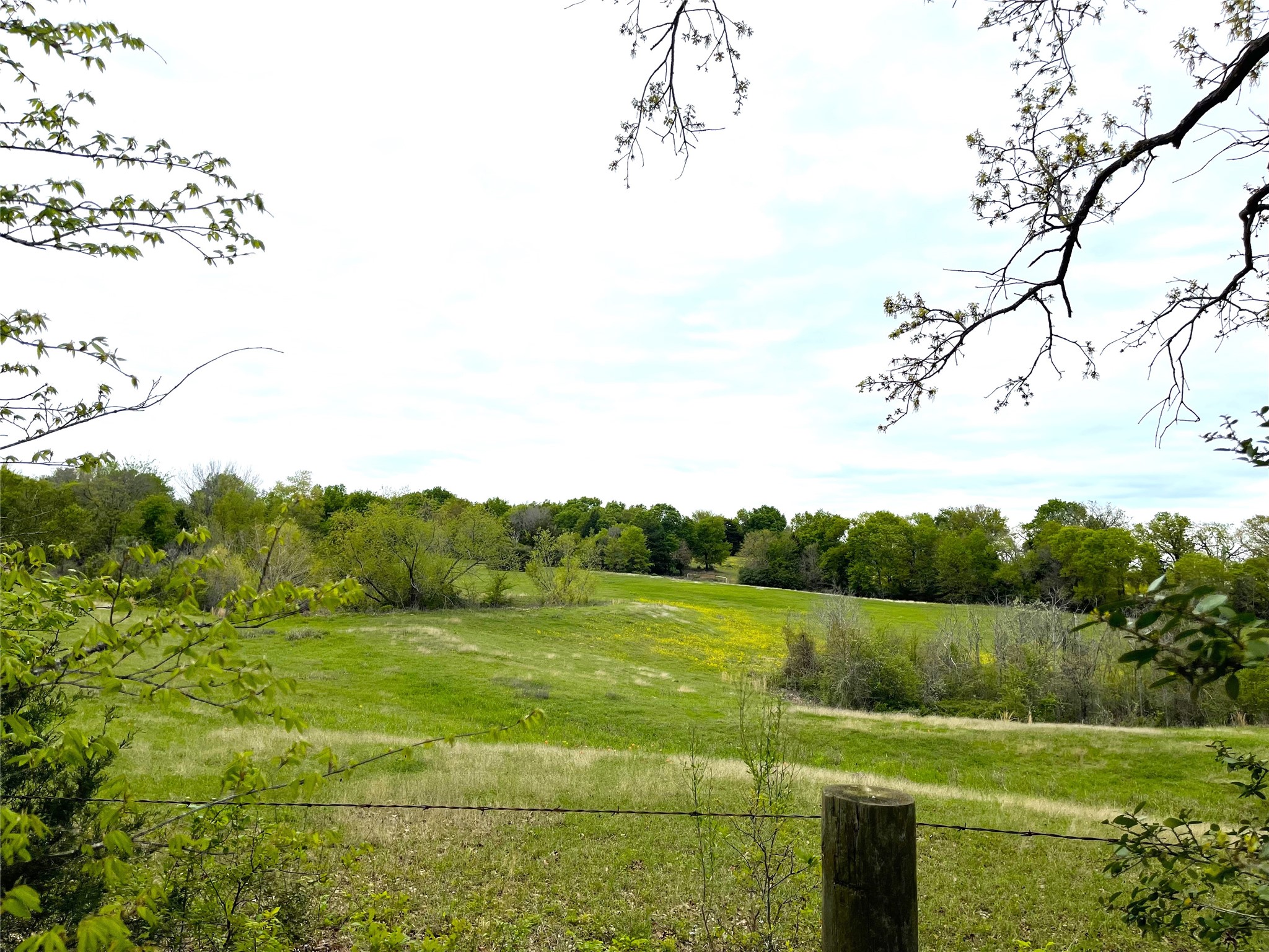 Tbd Highway 164 Donie TX 75838