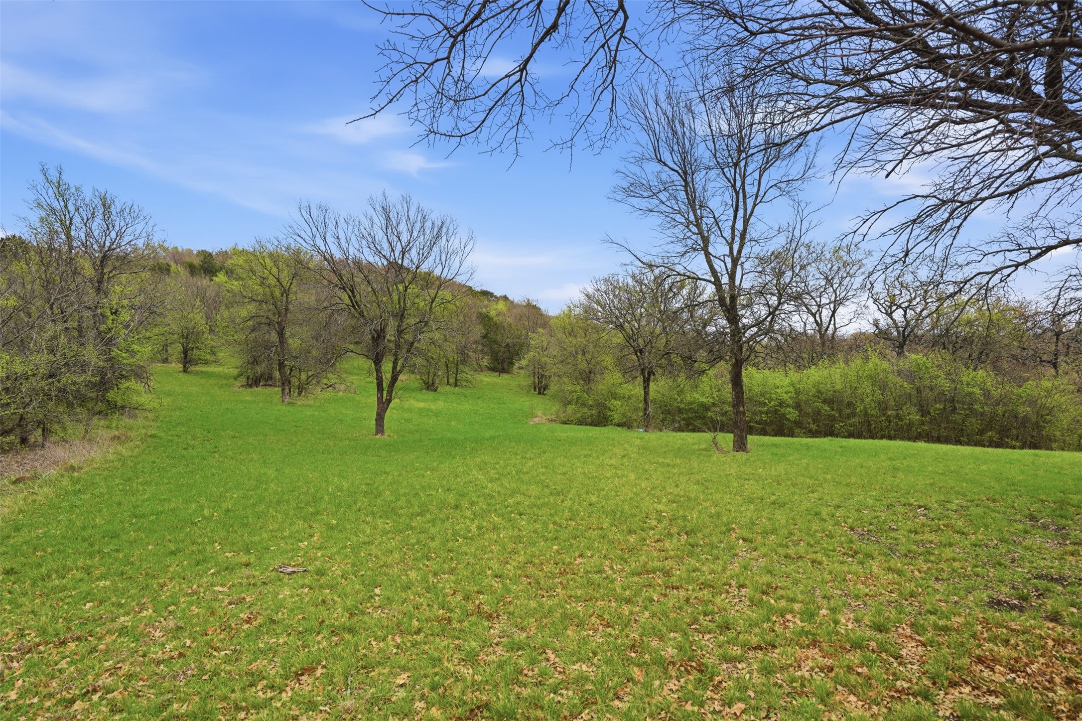 2605 Whispering Oaks Cove Cedar Hill TX 75104