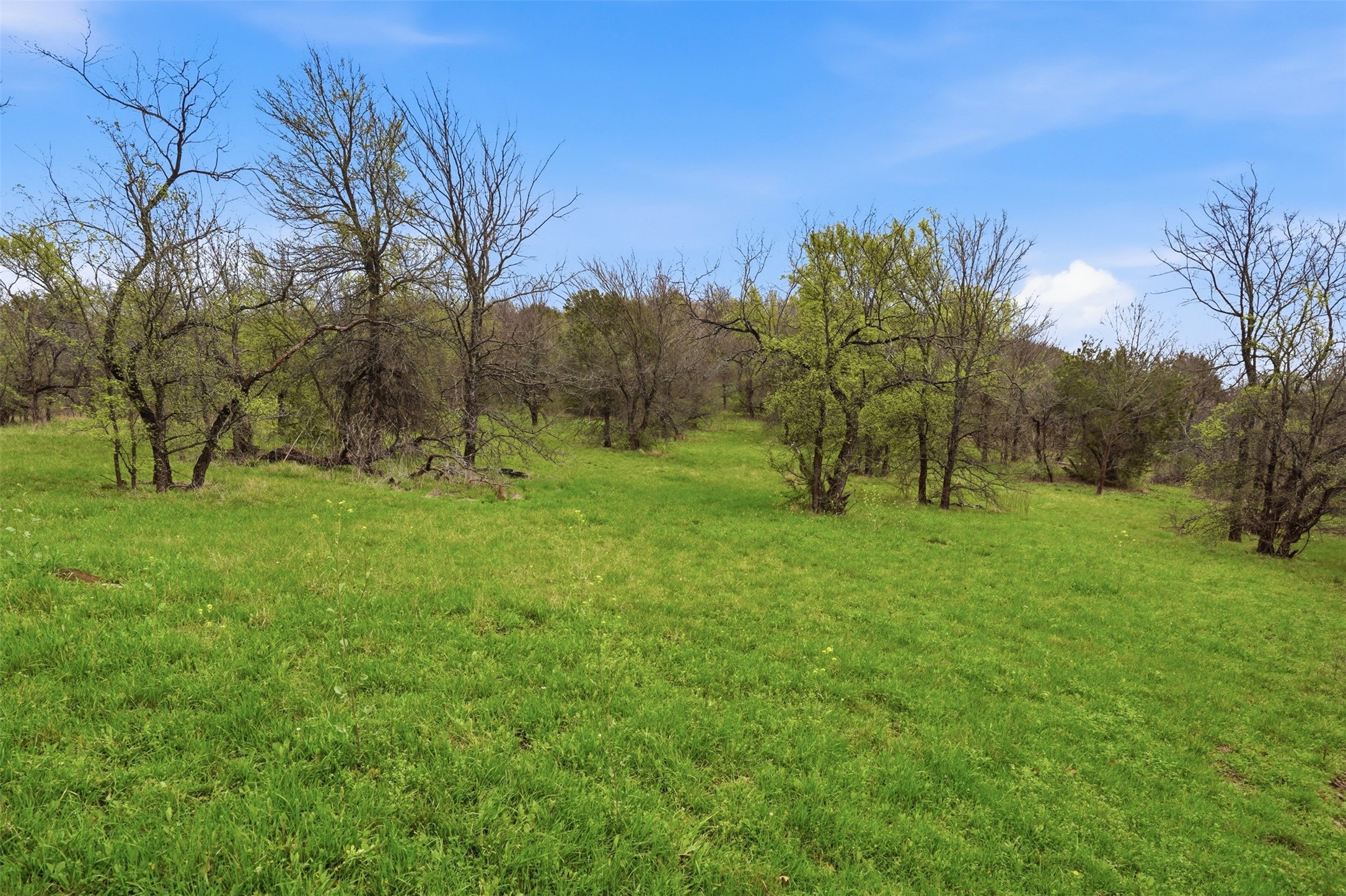 2605 Whispering Oaks Cove Cedar Hill TX 75104