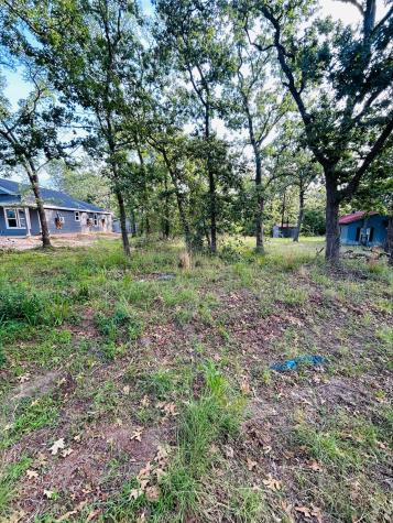 287 Casa Verde Malakoff TX 75148