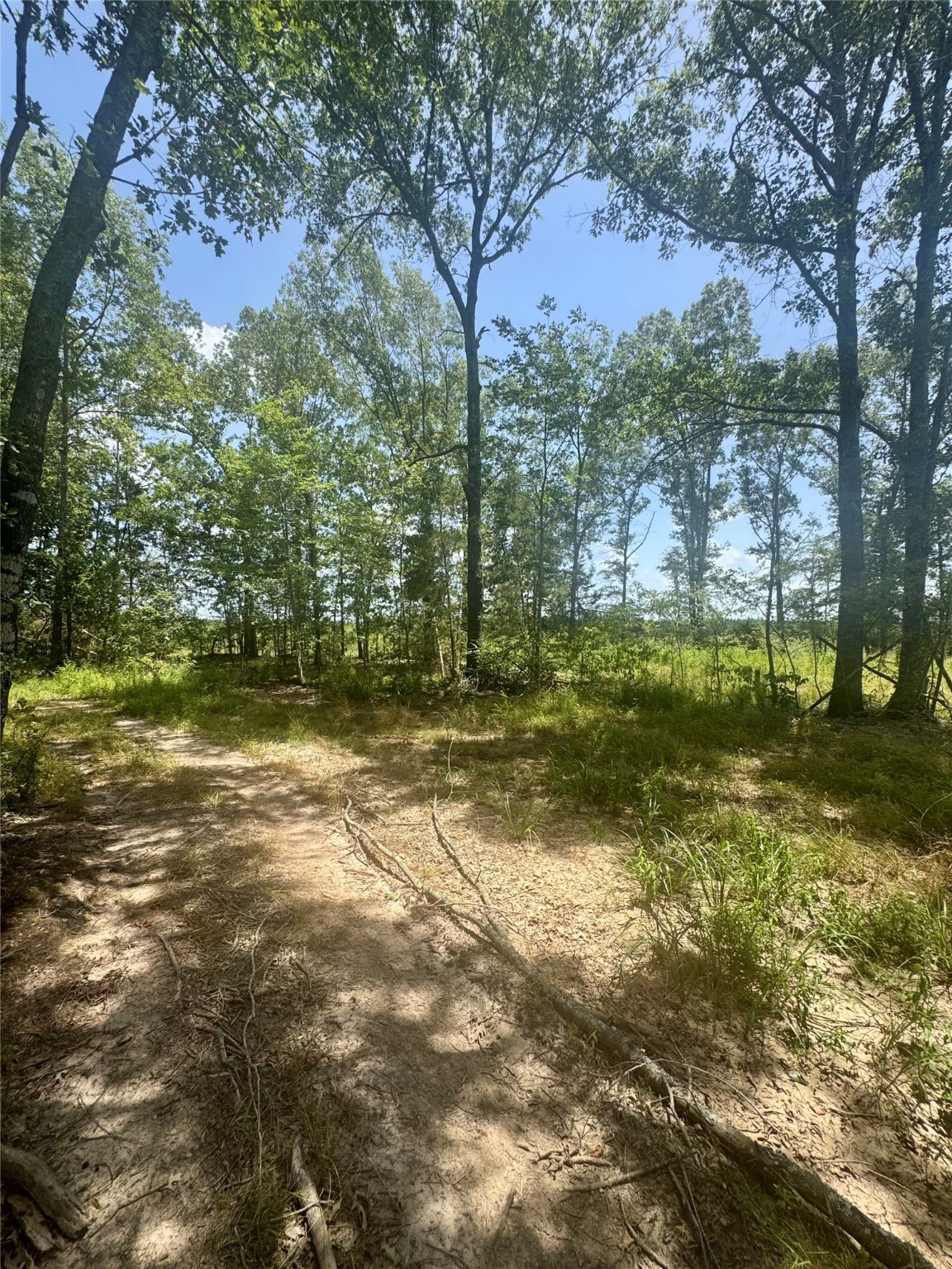 0000 County Road 4307 De Kalb TX 75559