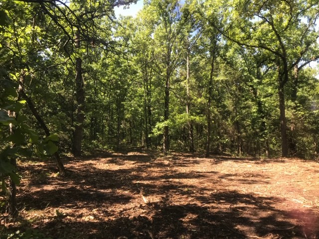 0000 County Road 4307 De Kalb TX 75559