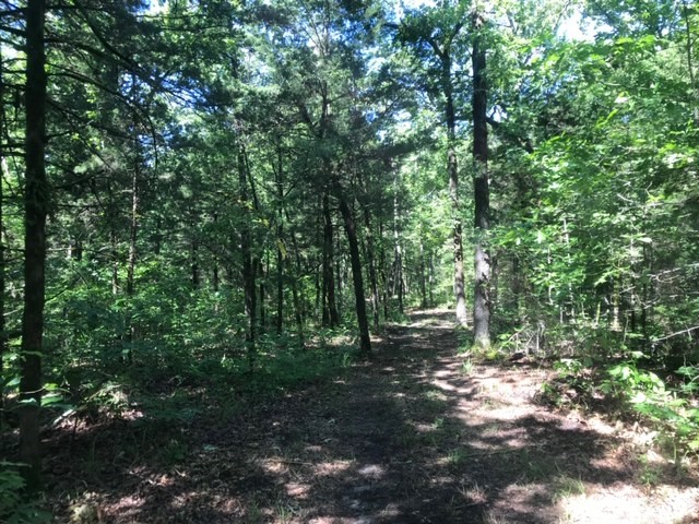 0000 County Road 4307 De Kalb TX 75559