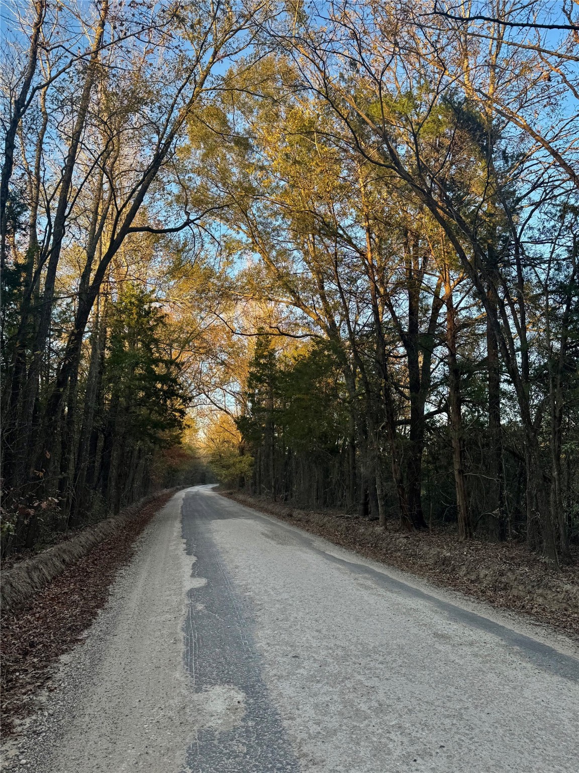 0000 County Road 4307 De Kalb TX 75559