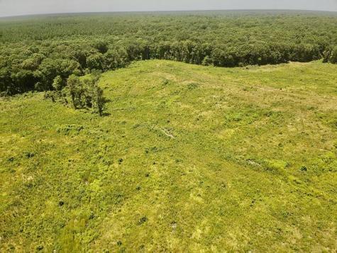 0 County Road 4307 De Kalb TX 75559