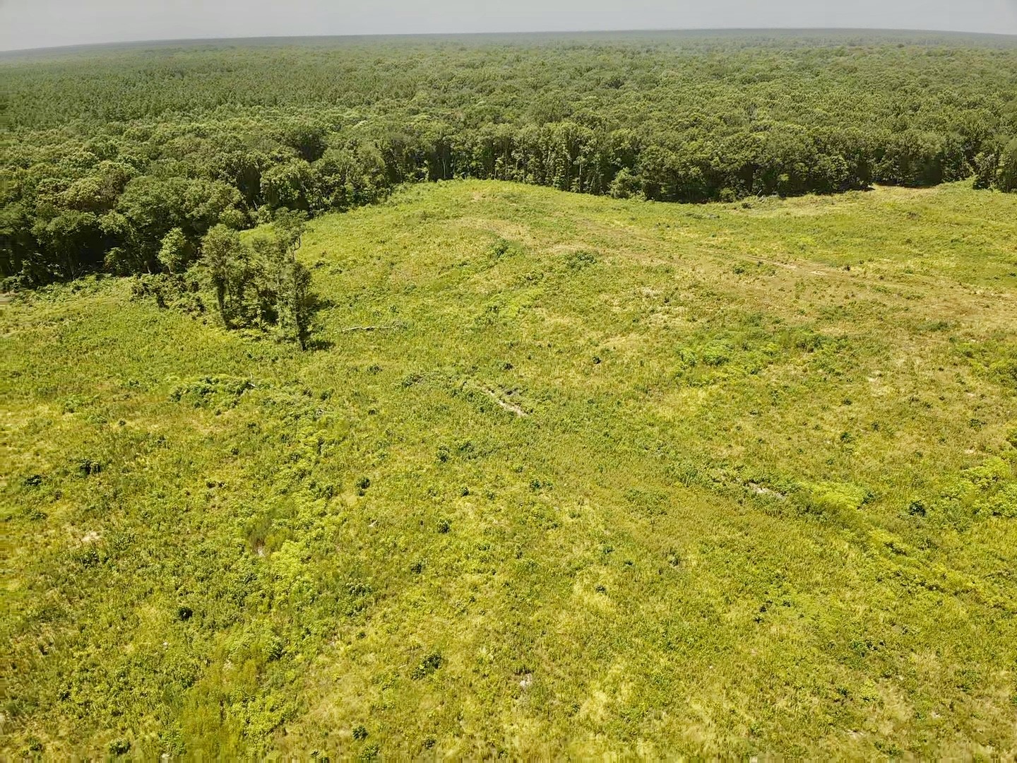 0000 County Road 4307 De Kalb TX 75559