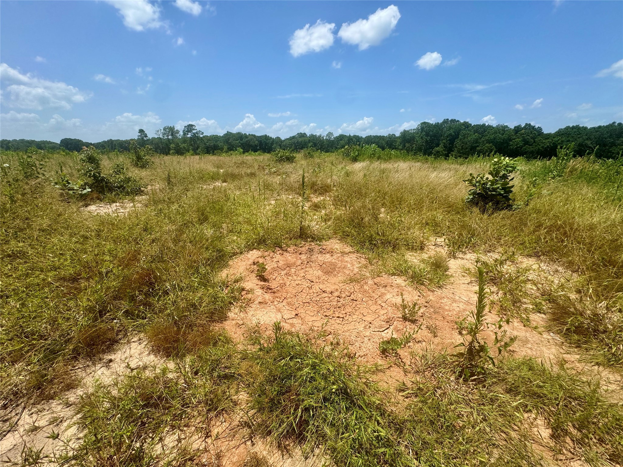 0000 County Road 4307 De Kalb TX 75559