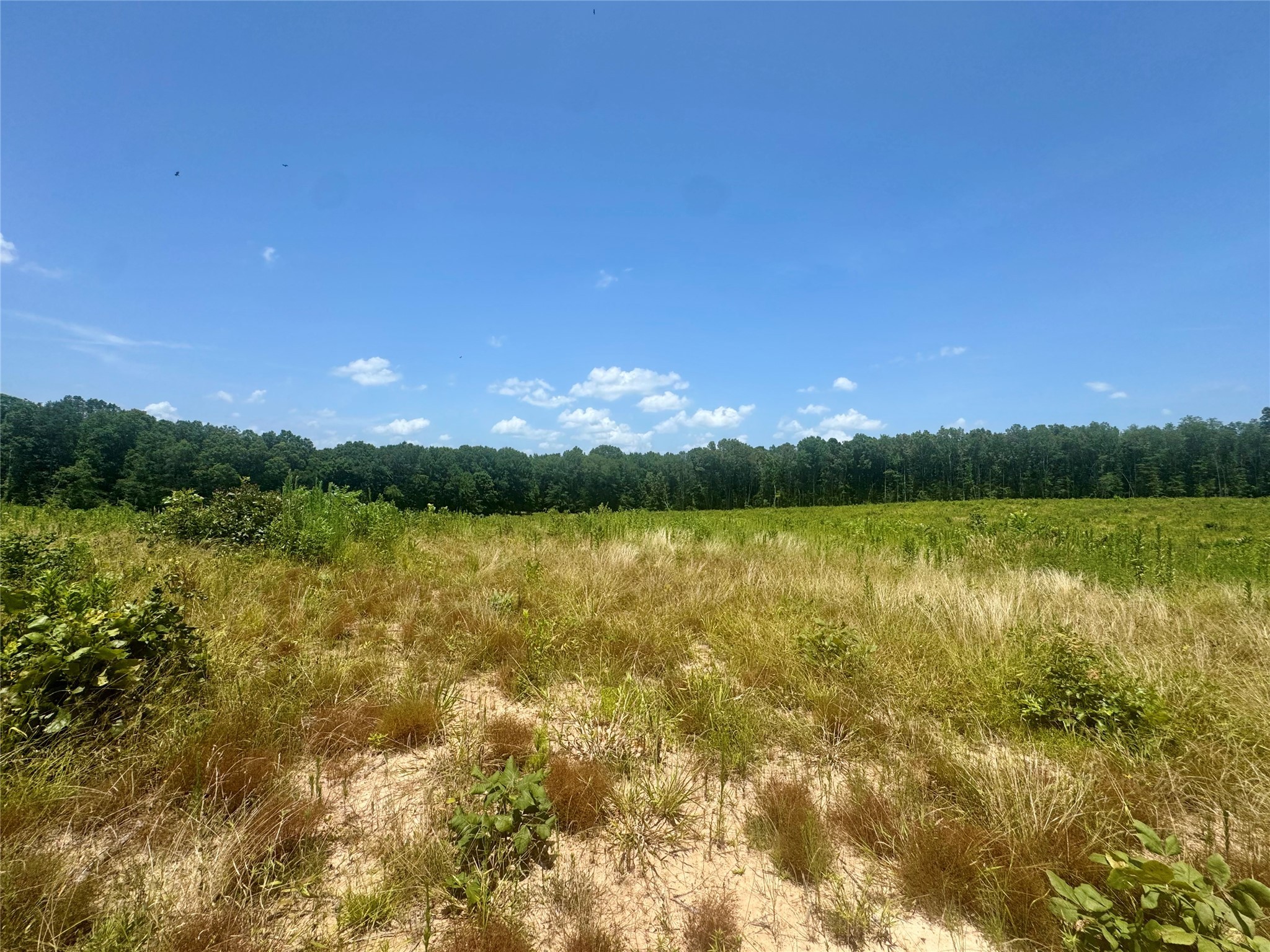 0000 County Road 4307 De Kalb TX 75559