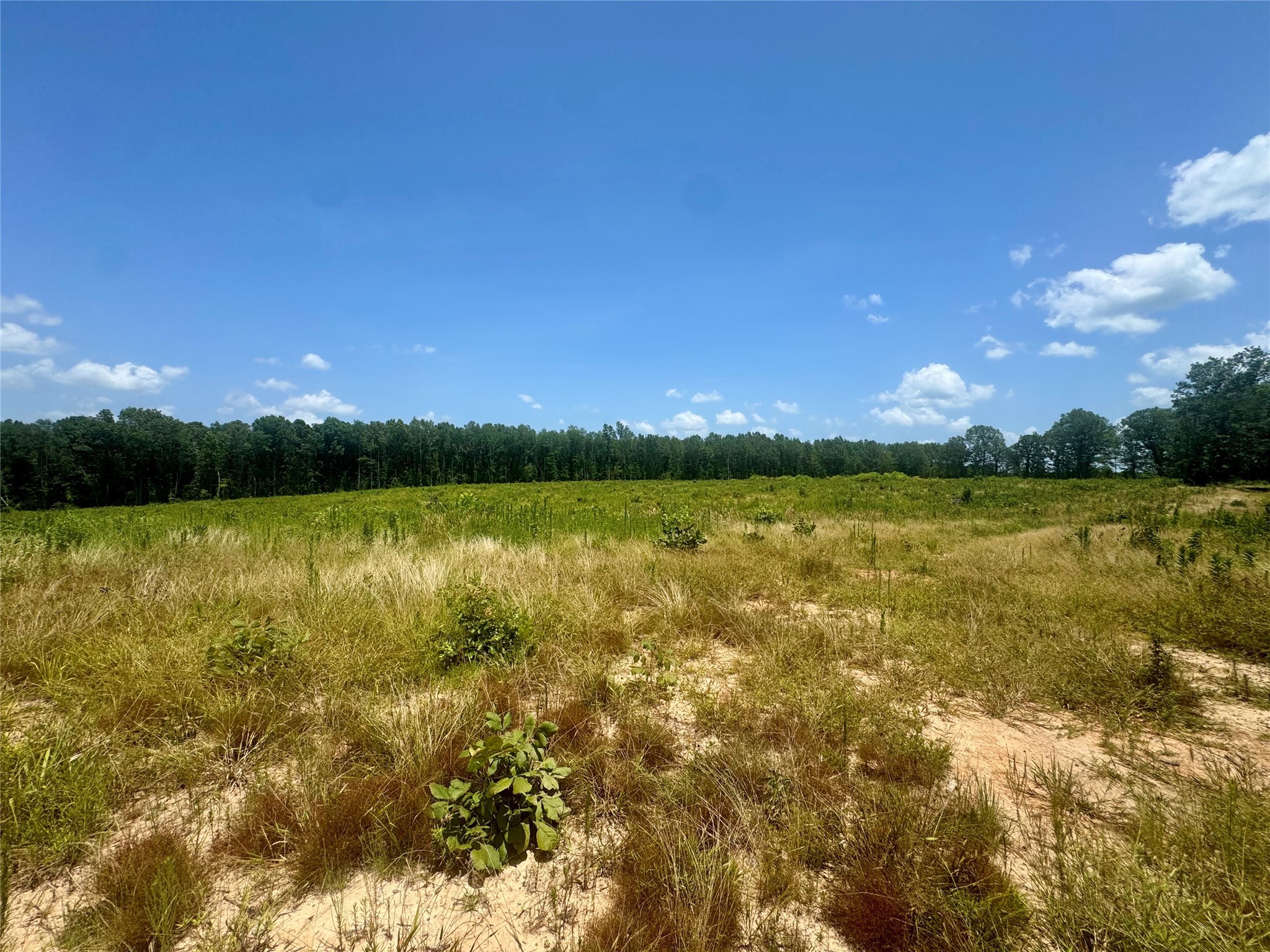 0000 County Road 4307 De Kalb TX 75559