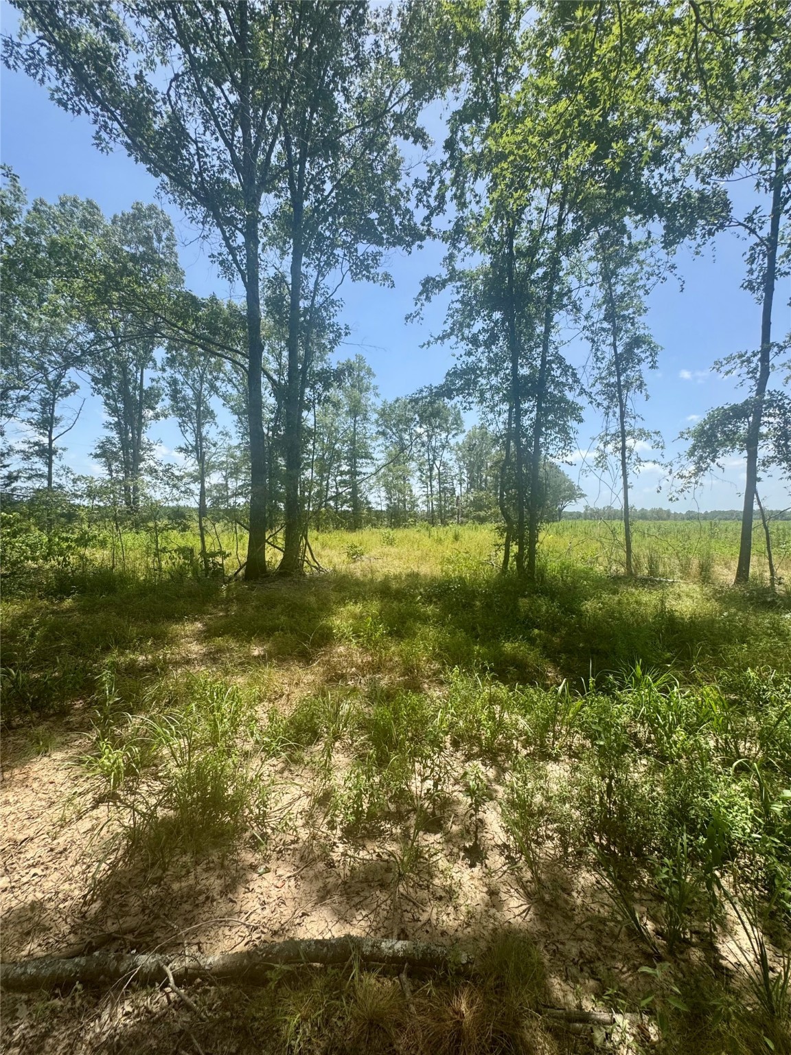 0000 County Road 4307 De Kalb TX 75559