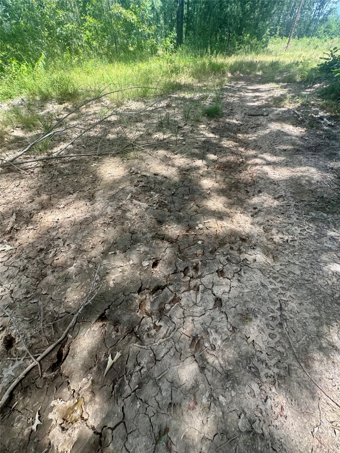 0000 County Road 4307 De Kalb TX 75559