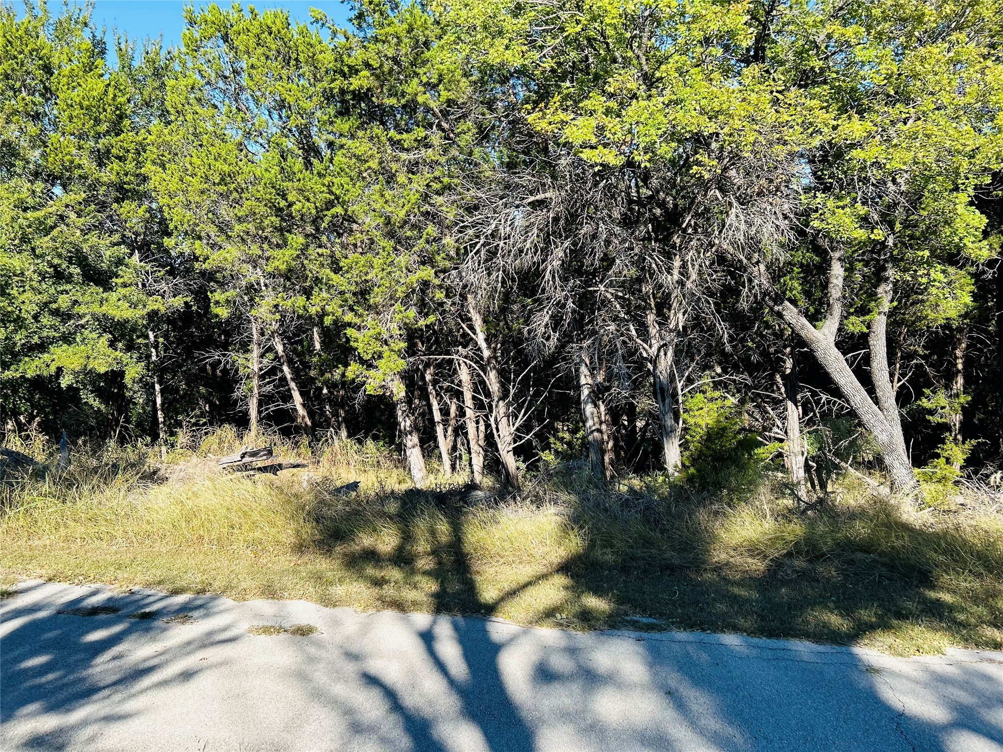 210 Castle Harbour Loop Graford TX 76449