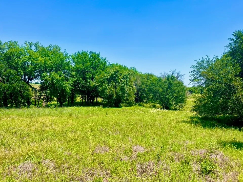 Lot 89 Kerry Court Poolville TX 76487