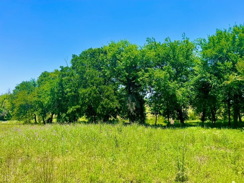 Lot 89 Kerry Court Poolville TX 76487