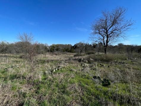 343 Palmilla Drive Gordonville TX 76245