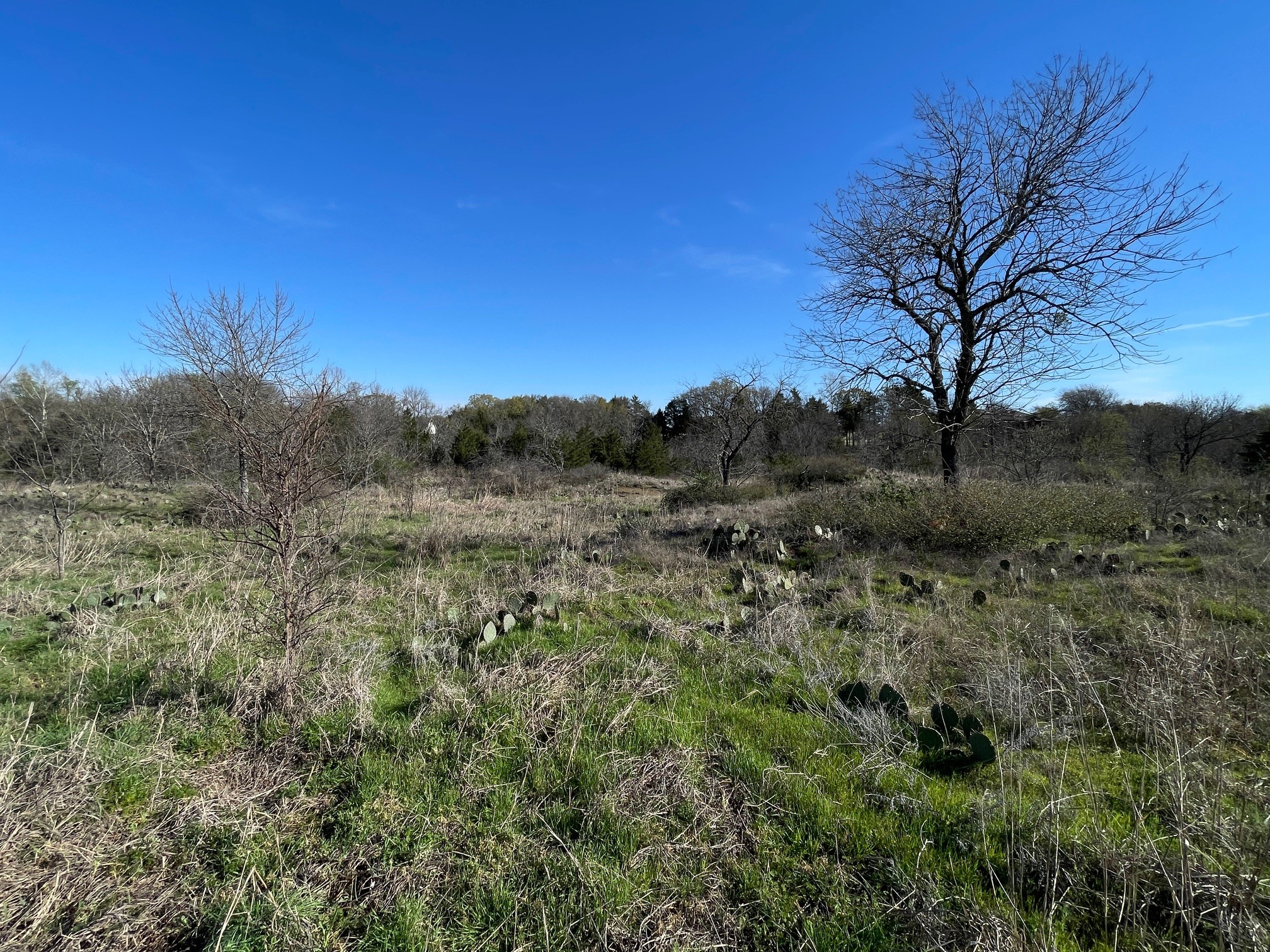 343 Palmilla Drive Gordonville TX 76245