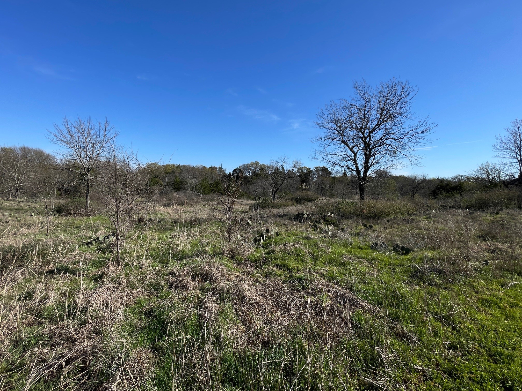 343 Palmilla Drive Gordonville TX 76245