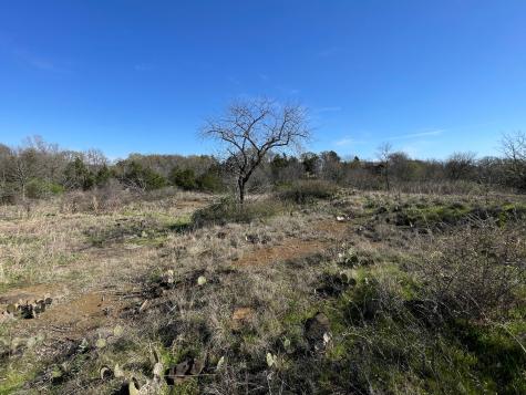 343 Palmilla Drive Gordonville TX 76245