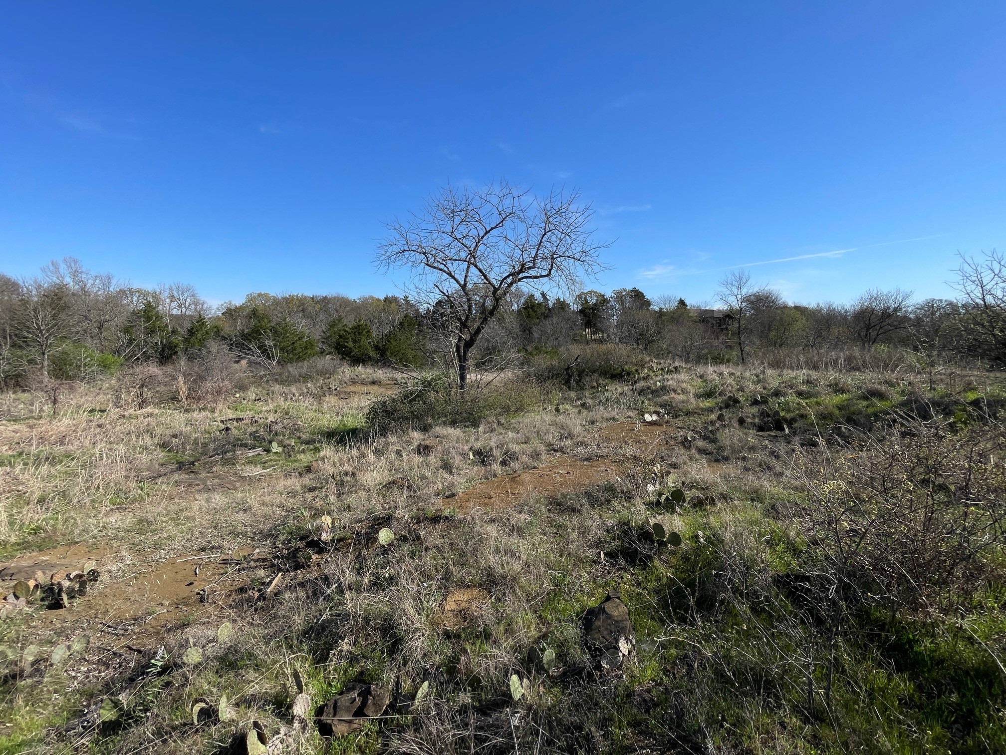 343 Palmilla Drive Gordonville TX 76245