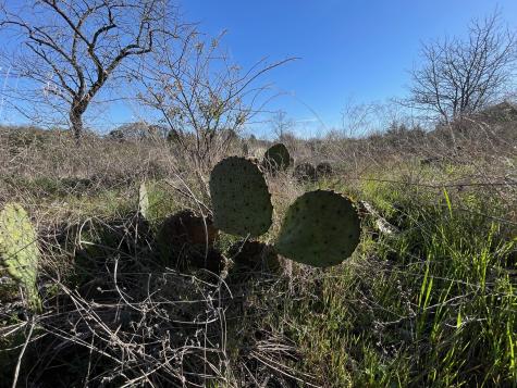 343 Palmilla Drive Gordonville TX 76245
