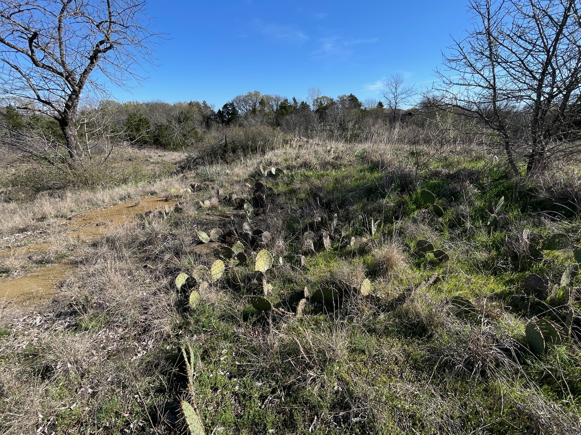 343 Palmilla Drive Gordonville TX 76245