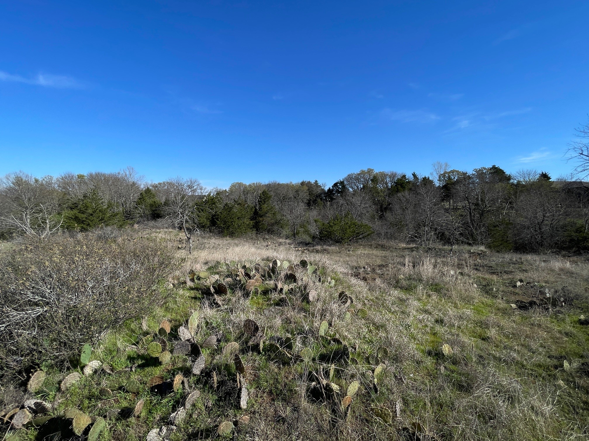 343 Palmilla Drive Gordonville TX 76245